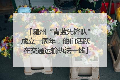 随州“青蓝先锋队”成立一周年，他们活跃在交通运输执法一线