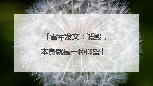 雷军发文：诋毁，本身就是一种仰望