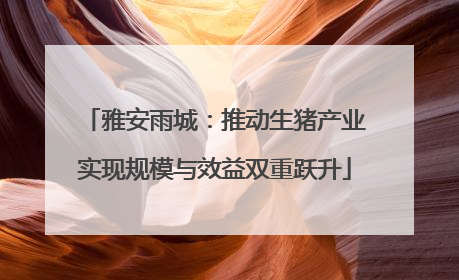 雅安雨城：推动生猪产业实现规模与效益双重跃升