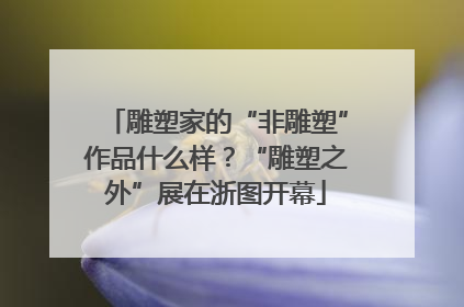 雕塑家的“非雕塑”作品什么样？“雕塑之外”展在浙图开幕