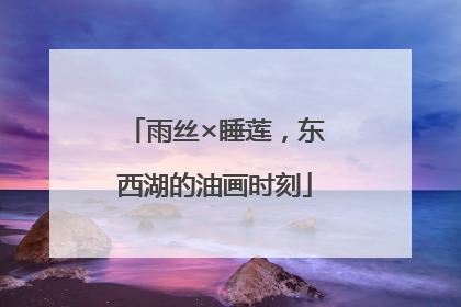 雨丝×睡莲，东西湖的油画时刻