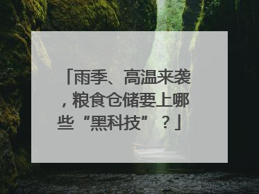 雨季、高温来袭，粮食仓储要上哪些“黑科技”？