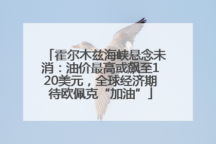 霍尔木兹海峡悬念未消：油价最高或飙至120美元，全球经济期待欧佩克“加油”