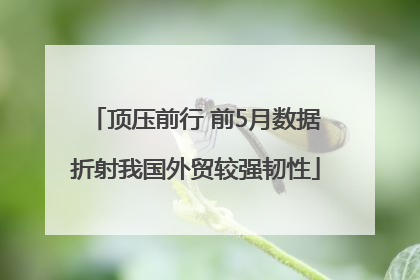 顶压前行 前5月数据折射我国外贸较强韧性