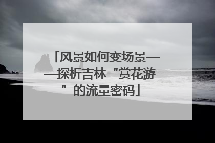 风景如何变场景——探析吉林“赏花游”的流量密码