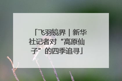 飞羽镜界｜新华社记者对“高原仙子”的四季追寻