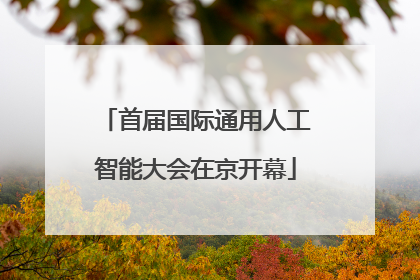 首届国际通用人工智能大会在京开幕
