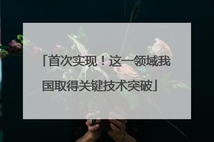 首次实现！这一领域我国取得关键技术突破