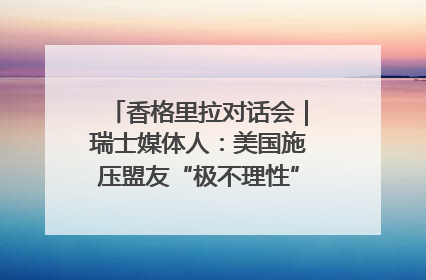 香格里拉对话会｜瑞士媒体人：美国施压盟友“极不理性” 欧洲国家无意与中国“脱钩断链”