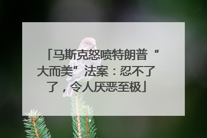 马斯克怒喷特朗普“大而美”法案：忍不了了，令人厌恶至极