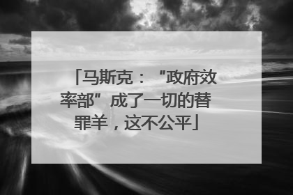 马斯克：“政府效率部”成了一切的替罪羊，这不公平