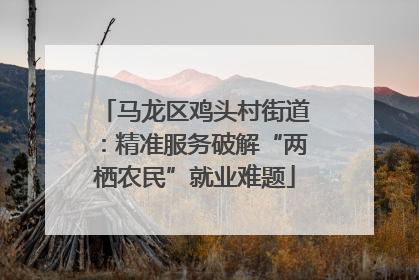 马龙区鸡头村街道：精准服务破解“两栖农民”就业难题