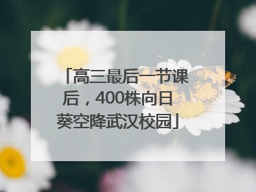 高三最后一节课后，400株向日葵空降武汉校园