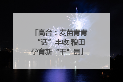 高台：麦苗青青“话”丰收 粮田孕育新“丰”景