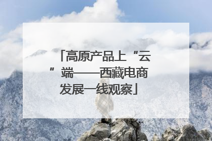 高原产品上“云”端——西藏电商发展一线观察