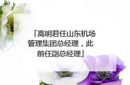 高明君任山东机场管理集团总经理，此前任副总经理