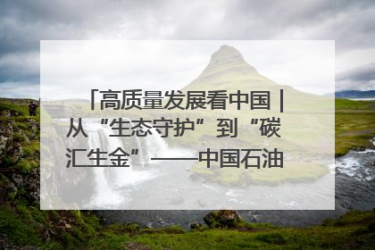 高质量发展看中国｜从“生态守护”到“碳汇生金”——中国石油大庆油田绿色蝶变