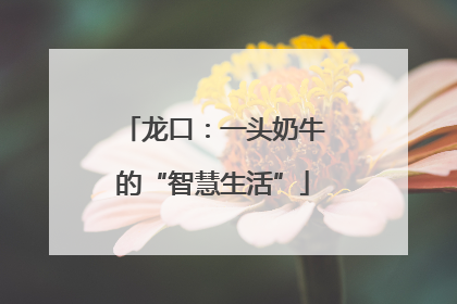 龙口：一头奶牛的“智慧生活”