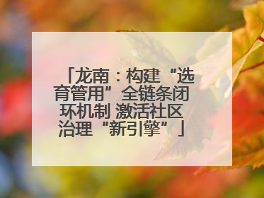 龙南：构建“选育管用”全链条闭环机制 激活社区治理“新引擎”