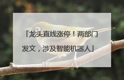 龙头直线涨停！两部门发文，涉及智能机器人