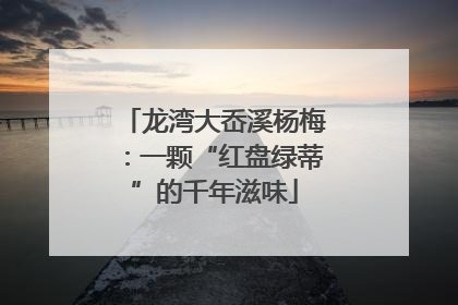 龙湾大岙溪杨梅：一颗“红盘绿蒂”的千年滋味