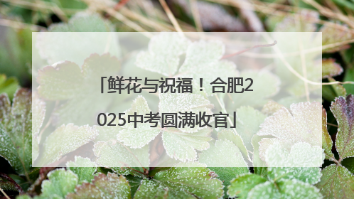 鲜花与祝福！合肥2025中考圆满收官
