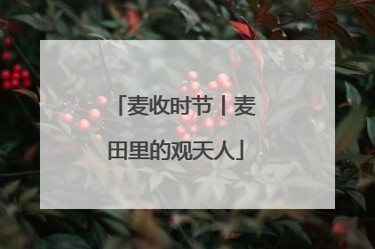 麦收时节丨麦田里的观天人