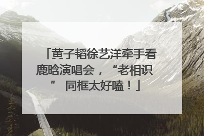 黄子韬徐艺洋牵手看鹿晗演唱会，“老相识” 同框太好嗑！