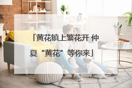 黄花镇上繁花开 仲夏“黄花”等你来