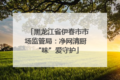 黑龙江省伊春市市场监管局：净网清厨 “味”爱守护