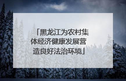 黑龙江为农村集体经济健康发展营造良好法治环境