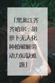 黑龙江齐齐哈尔：胡萝卜无人化种植破解劳动力短缺难题