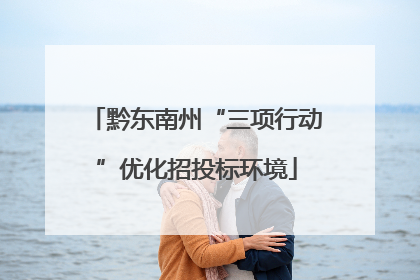 黔东南州“三项行动”优化招投标环境