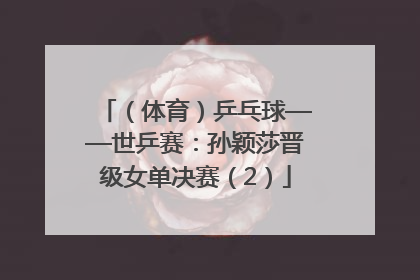 （体育）乒乓球——世乒赛：孙颖莎晋级女单决赛（2）