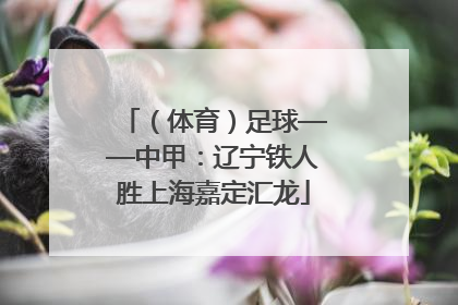（体育）足球——中甲：辽宁铁人胜上海嘉定汇龙