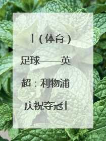 （体育）足球——英超：利物浦庆祝夺冠