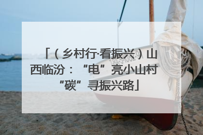 （乡村行·看振兴）山西临汾：“电”亮小山村 “碳”寻振兴路