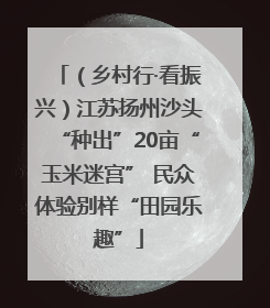 （乡村行·看振兴）江苏扬州沙头“种出”20亩“玉米迷宫” 民众体验别样“田园乐趣”