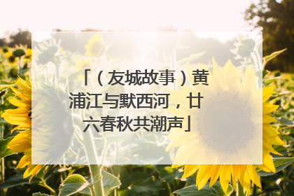 （友城故事）黄浦江与默西河，廿六春秋共潮声