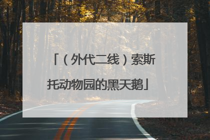 （外代二线）索斯托动物园的黑天鹅
