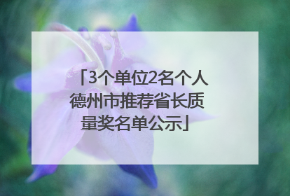 3个单位2名个人 德州市推荐省长质量奖名单公示