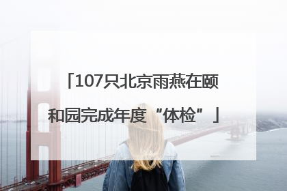 107只北京雨燕在颐和园完成年度“体检”