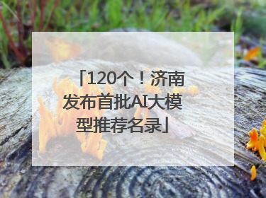 120个！济南发布首批AI大模型推荐名录