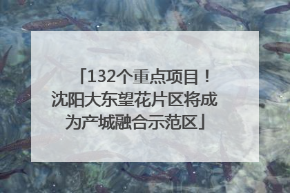 132个重点项目！沈阳大东望花片区将成为产城融合示范区