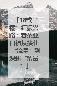 18载“樱”红振兴路：看茶业口镇从接住“流量”到深耕“留量”