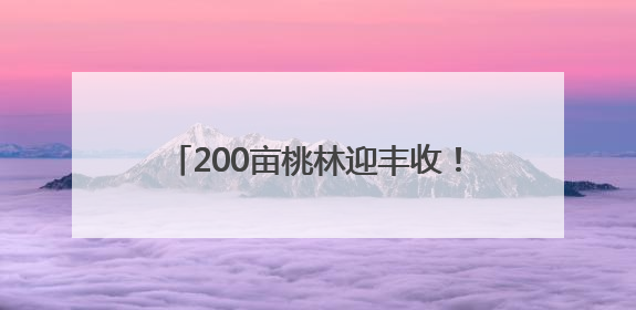 200亩桃林迎丰收！成都龙泉山水蜜桃基地2025采摘季开启
