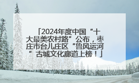 2024年度中国“十大最美农村路”公布，枣庄市台儿庄区“鲁风运河”古城文化廊道上榜！