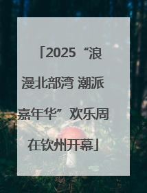 2025“浪漫北部湾 潮派嘉年华”欢乐周在钦州开幕