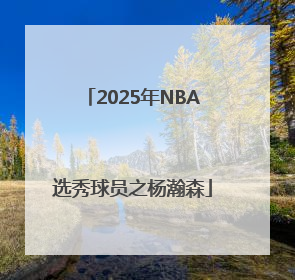 2025年NBA选秀球员之杨瀚森