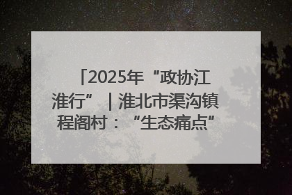 2025年“政协江淮行”｜淮北市渠沟镇程阁村：“生态痛点”变“生态景观”